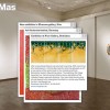 mas-art